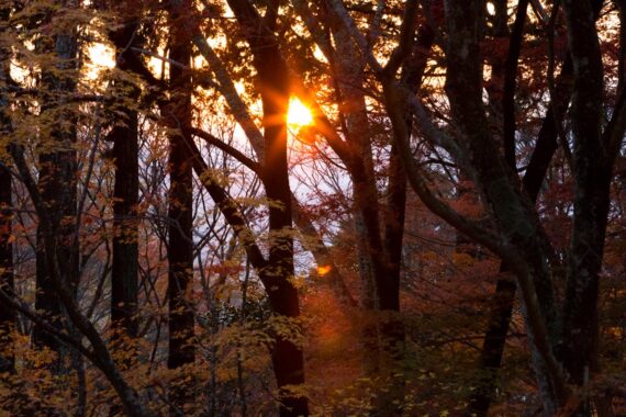 Korankei “Momiji” Maple Festival, Toyota City, Aichi Prefecture, Japan. Korankei “Momiji” Maple Festival, Toyota City, Aichi Prefecture, Japan.