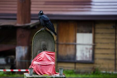 Outside the Ainu museum at Akanko Ainu Kotan in Hokkaido, Japan, a large crow perches on a statue of Ojizou sama, protector of travellers, firemen, expectant mothers and children. Outside the Ainu museum at Akanko Ainu Kotan in Hokkaido, Japan, a large crow perches on a statue of Ojizou sama