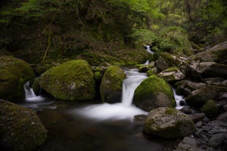 Small waterfall downstream from Sarutsubono Falls (猿壺) in Hyogo Prefecture, Japan. Small waterfall downstream from Sarutsubono Falls in Hyogo Prefecture