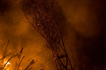 The men pull the burning remains of the holy tree from the suzumi.