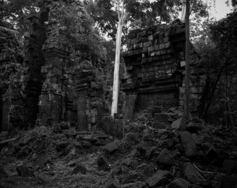 "On every side, in fantastic over-scale, the trunks of the silk-cotton trees soar skywards under a shadowy green canopy, their long spreading skirts trailing the ground and their endless roots coiling more like reptiles than plants." (Maurice Glaize)