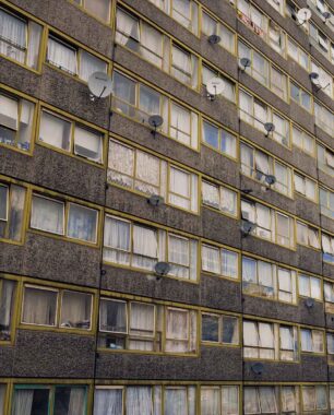 Image copyright © Thaddeus Pope