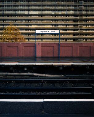 Image copyright © Thaddeus Pope