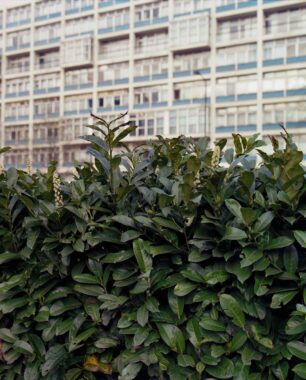 Image copyright © Thaddeus Pope