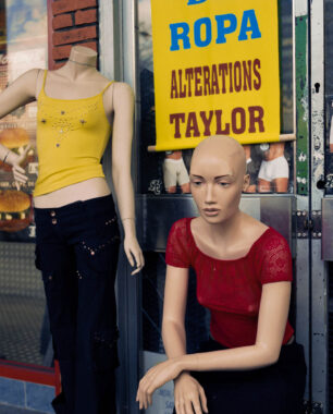 Image copyright © Thaddeus Pope