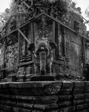 Statue of an elephant at Koh Ker Temple in the Angkor Archaeological Park, Cambodia, 2009.