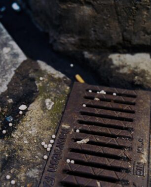 Image copyright © Thaddeus Pope