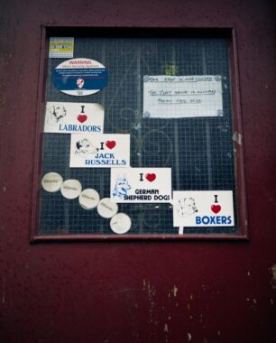 Image copyright © Thaddeus Pope